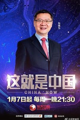 久久久久高潮毛片免费全部播放