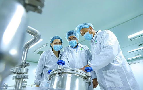 科技賦能張掖農特產品提質增效，植物工廠引領農業現代化