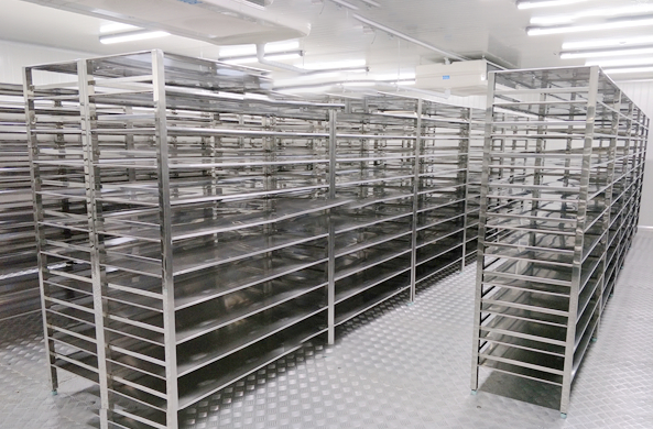 ��쌣��؛��